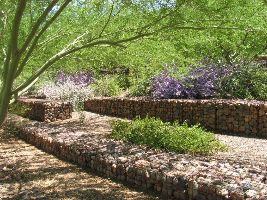 The Scottsdale Xeriscape Garden